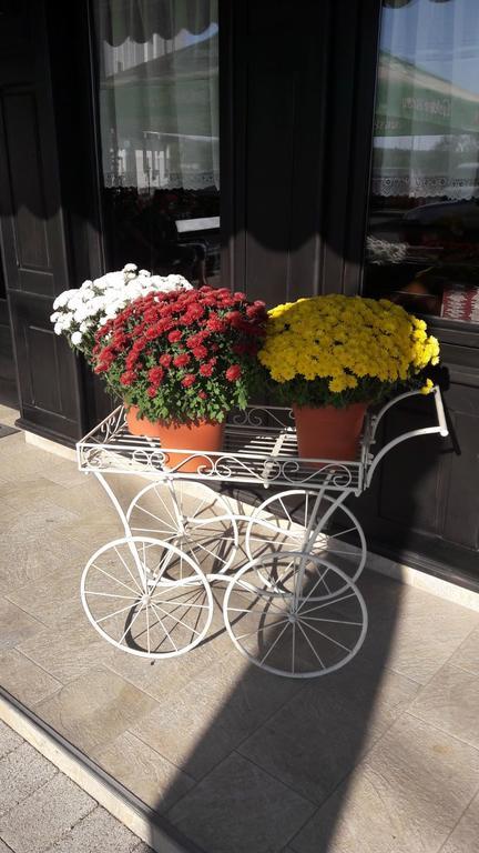 Casa Caroli Hotell Târgu Jiu Exteriör bild