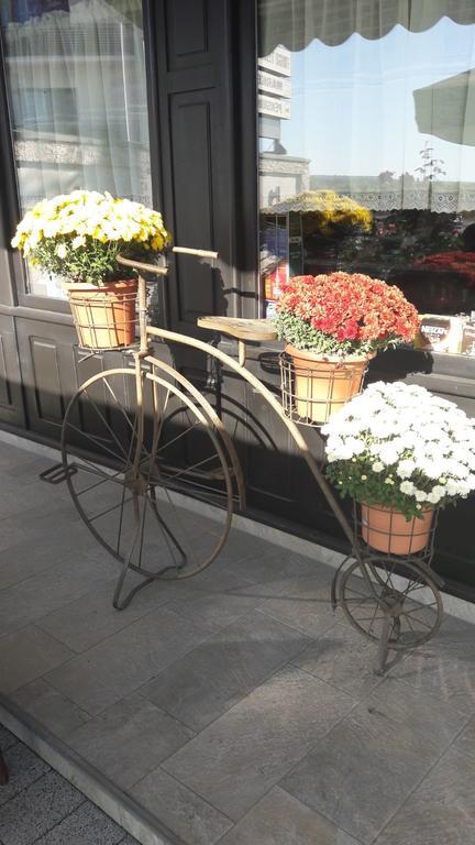 Casa Caroli Hotell Târgu Jiu Exteriör bild